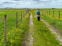 Isle of South Uist